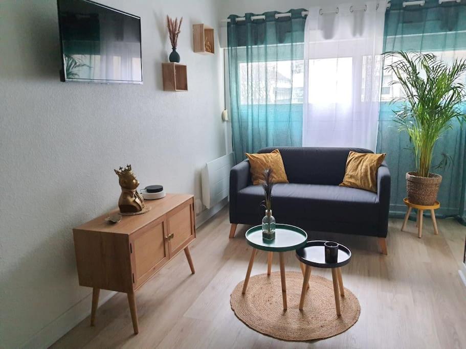 Le Ouistiti - 50 M De La Gare - Parking Prive Apartment Tours Ngoại thất bức ảnh